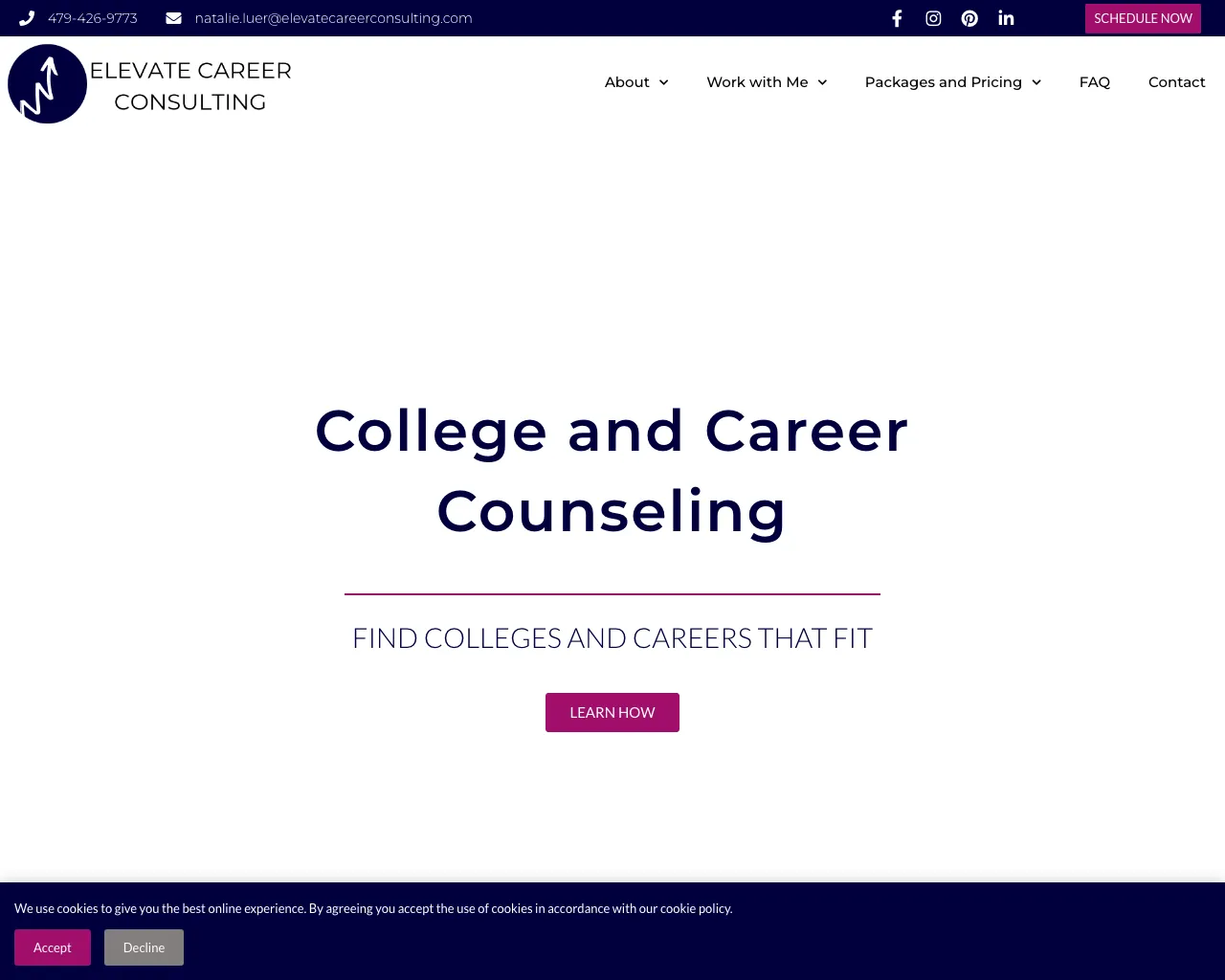 Website screenshot of Elevate Career Consulting